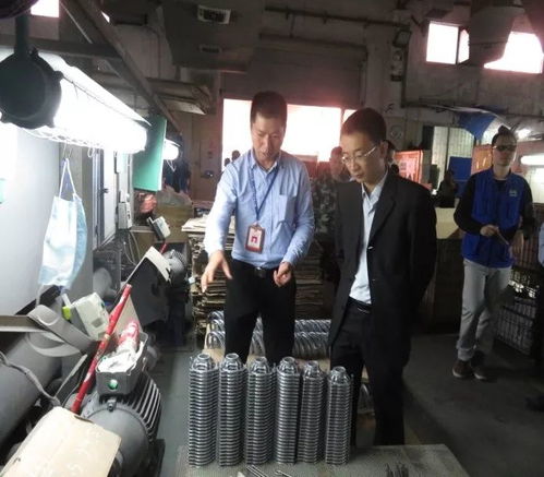 凤岗镇开展元旦节前安全检查，监控设备成关键环节